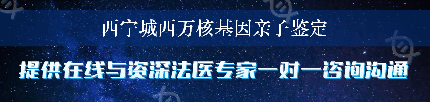 西宁城西万核基因亲子鉴定